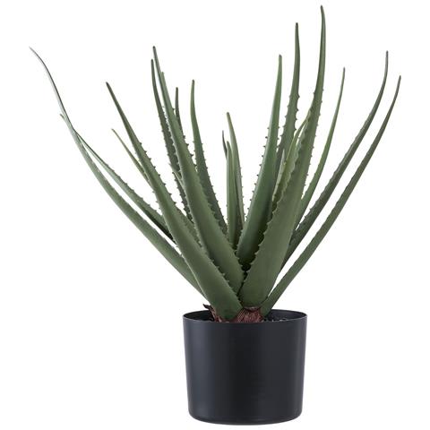 Pianta Artificiale Aloe Vera In Vaso Nero H51 Cm - Foto 1