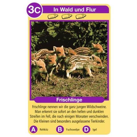 Tierkinder (20423)  - Foto 2