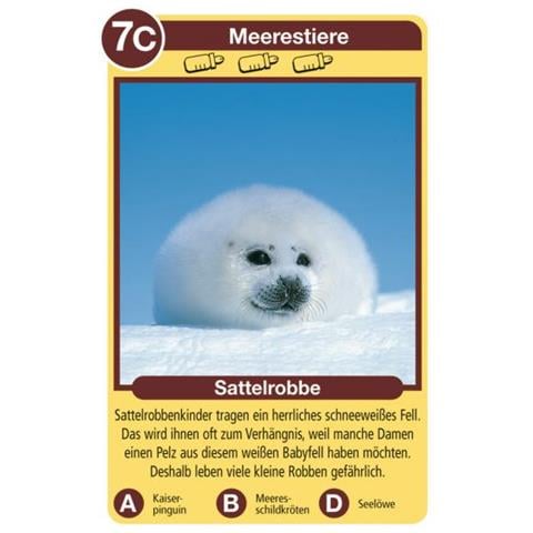 Tierkinder (20423)  - Foto 3