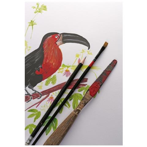 96537C carta da disegno 40 fogli - Foto 2