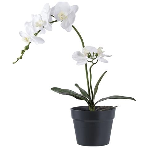 Orchid - Pianta Artificiale Di Orchidea Verde E Bianca H49 Cm - Foto 1