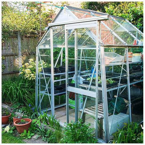 Confezione Da 25 Clip Di Fissaggio Per Vetro Di Serra  M - Foto 2