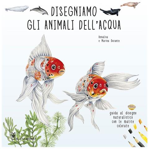 Annalisa Durante - Disegniamo gli animali dell'acqua. Guida al disegno naturalistico con le matite colorate. Ediz. a colori - Foto 1
