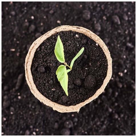 Vaso Biodegradabile 8x8 Cm - Compostabile Per Piante - Foto 2