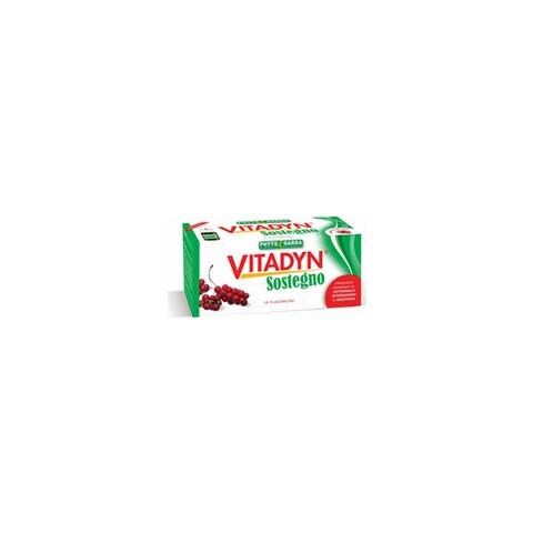 Vitadyn Sostegno Flaconcini 10x10ml - Foto 1