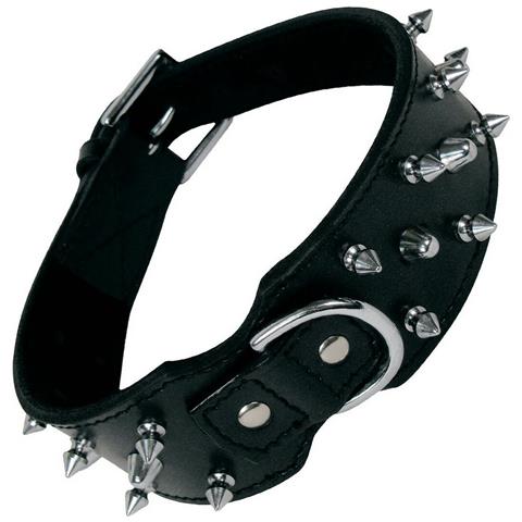 Collare Per Cani Nero Sspuntoni (70 Cm) - Foto 1