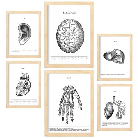 Set Di 6 Stampe Collezione Di Piatti Belies Con Collage Estetico Per La Decorazione D'interni A3 & A4 Telaio In Legno Chiaro - Foto 1