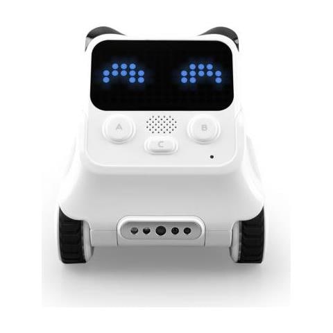 Codey Rocky - Foto 2