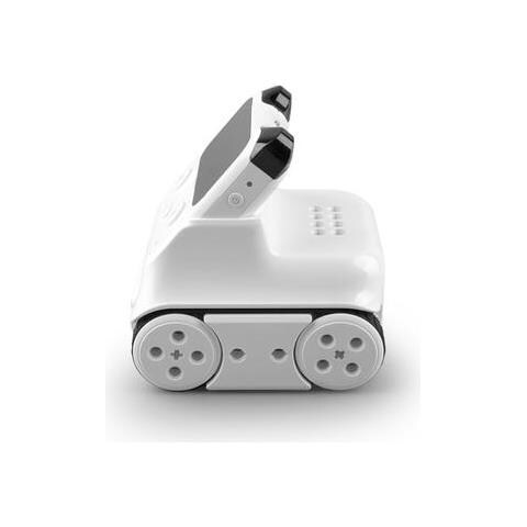 Codey Rocky - Foto 3