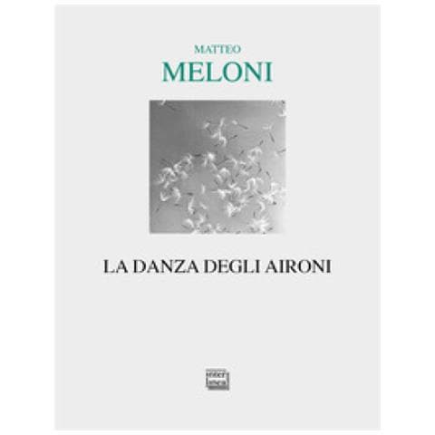 Meloni Matteo - La Danza Degli Aironi - Foto 1