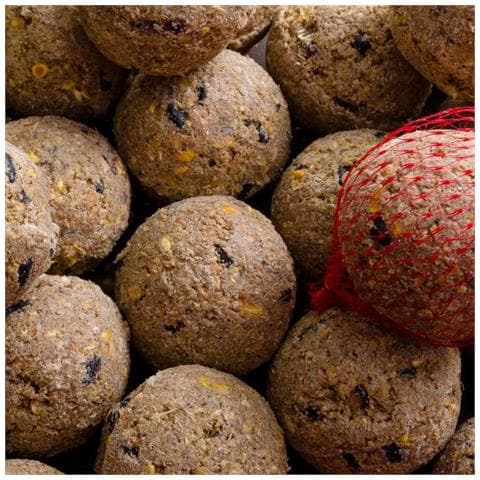 Meisenknödel Premium Con Insetti 100 X Ca. 90 Grammi Con Rete - Foto 1