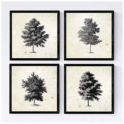 Set Di 4 Stampe Ad Albero Alberi Di Corteccia Fine Di Dimensioni 30 X 30 Cm, Fondo Carta Antica Vintage Senza Cornice 20x20 Cm - Foto 1