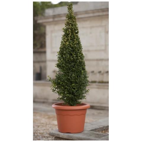 Vaso Per Fiori Plastiken - Ø 40 Cm Rotondo - Terracotta - Foto 1