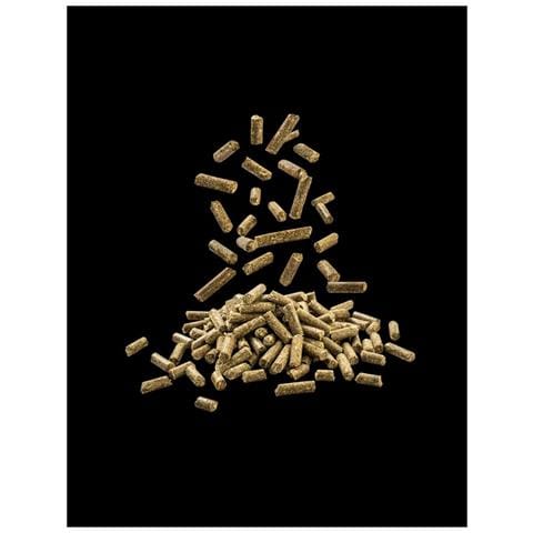 Mangime Per Cavalli Sportivi 20kg Pellet Alimentazione Cavalli Energia - Foto 1