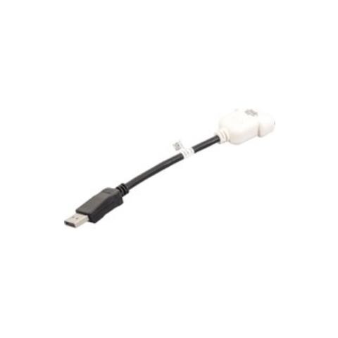 DisplayPort / DVI-D, DisplayPort, DVI-D, Nero, Bianco, Maschio / maschio - Foto 1