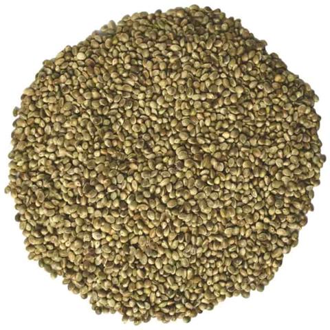 Semi Di Canapa 10kg Per Uccelli, Roditori E Cavalli - Foto 2