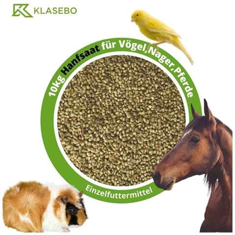 Semi Di Canapa 10kg Per Uccelli, Roditori E Cavalli - Foto 1
