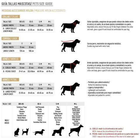 Guinzaglio Per Cani Disney Nero - Foto 2