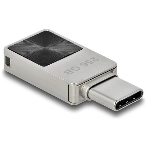DeLOCK Mini Chiavetta USB 5 Gbps USB-C da 256 GB - Alloggiamento in metallo - Foto 1