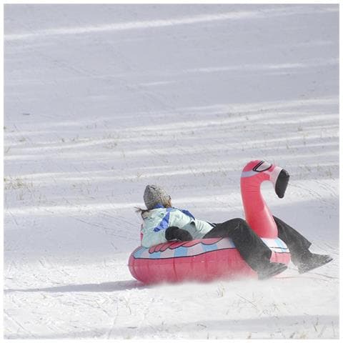 Dam  Tappetino Ibrido A Forma Di Flamenco, Per Neve E Acqua. Con Maniglie. 120x130 Cm. 120x130x90 Cm. Colore Rosa - Foto 6