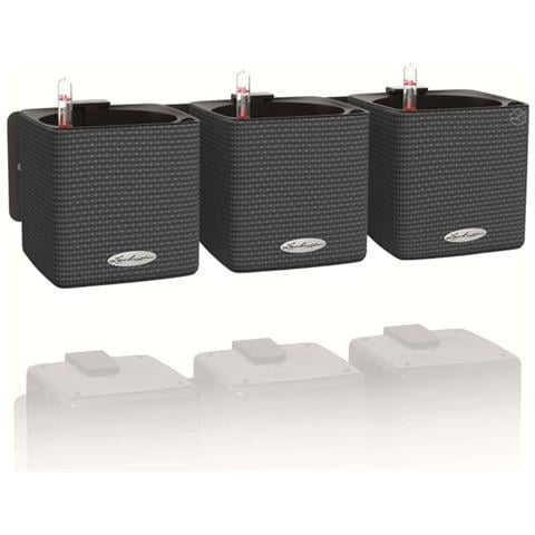 Green Wall Home Kit Vaso a cubo Montabile a parete Polipropilene (PP), Ardesia Nero Interno - Foto 1