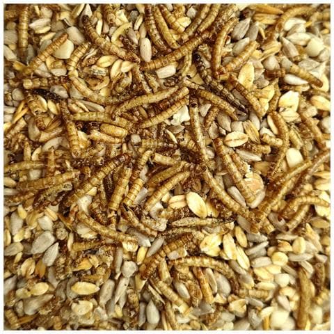 20 Kg Deluxe Mangime Per Uccelli Con Larve Di Tarme Senza Guscio Per Uccelli Selvatici - Foto 2