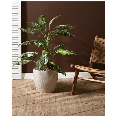 Vaso Per Piante Kannia 36 Cm Bianco Sporco - Foto 1
