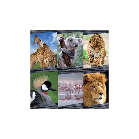 confezione da 10 pezzi - maxiquaderno a4 20fg+1 rigo di 3a 80gr wild life blasetti 5072 - Foto 1