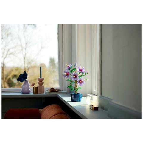 Botanicals Ibisco - Foto 2