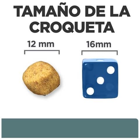 605859 cibo umido per cani Pollo, Manzo Universale 10 kg - Foto 5
