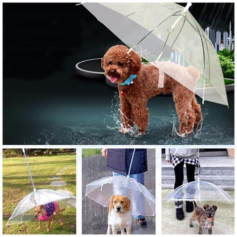 Ombrello Guinzaglio Cane Riparo Pioggia Impermeabile Trasparente Asciutto Cani - Foto 2