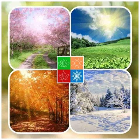 Misto Universale Per Colombi 25kg - Foto 3