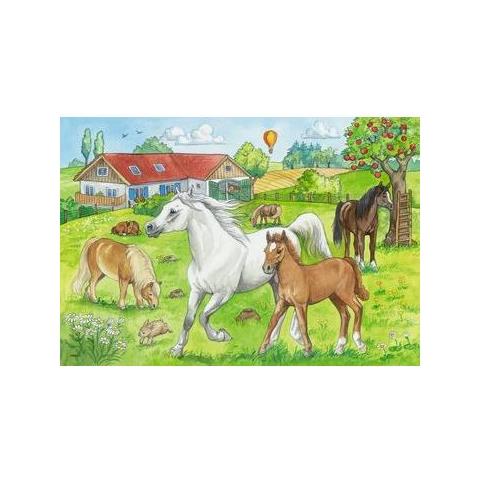 Auf Dem Pferdehof (7833)  - Foto 2