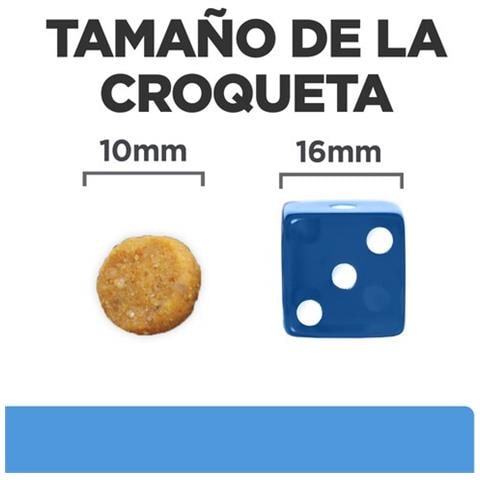 605841 cibo umido per cani Manzo Universale 4 kg - Foto 2