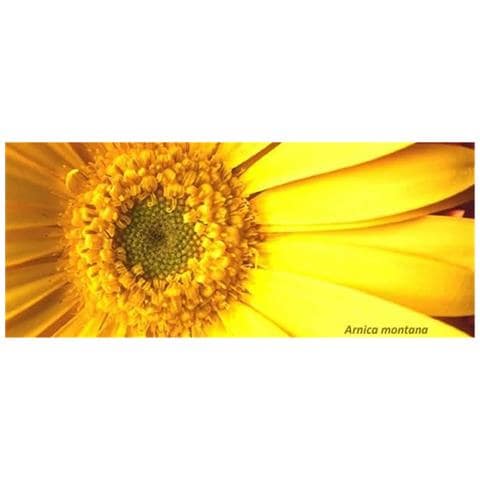 Gel Di Arnica Protuberanze E Contusioni - Foto 1