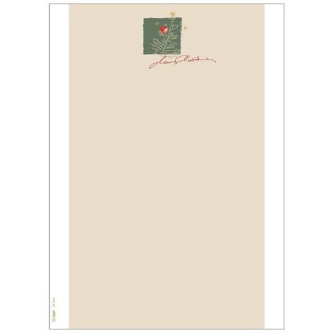 Dp256 Carta Inkjet A4 (210x297 Mm) 100 Fogli Naturale - Foto 1