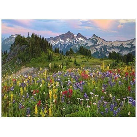 Tatoosh Mountains: 2000 Parti - Foto 2
