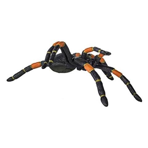 Safari Ltd Hidden Kingdom - Tarantola Dalle Ginocchia Arancioni - Figurina Giocattolo Realistica Dipinta A Mano Per Bambini Dai 3 Anni In Su - Grande - Foto 1