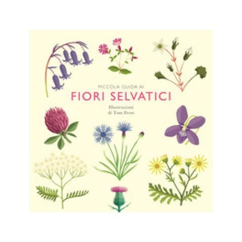 Alison Davies - Piccola Guida Ai Fiori Selvatici - Foto 1