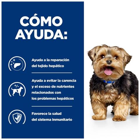 605901 cibo umido per cani Manzo Universale 10 kg - Foto 2