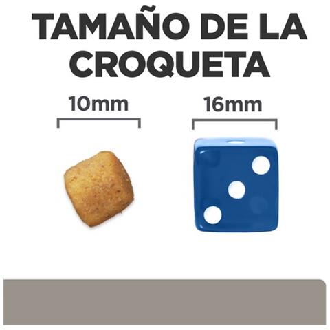 605901 cibo umido per cani Manzo Universale 10 kg - Foto 6