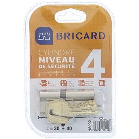 18002 cilindro Di Serratura Doppio Ingresso Serial Xp 30 + 40 nichelato - Foto 1