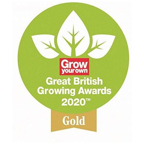 Spear Jackson - Elementi Mano Cazzuola - Foto 2