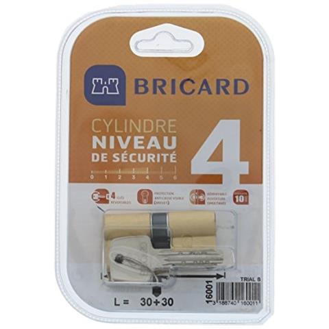 16001 cilindro Trial S 30 + 30 ottone Giallo, Doppio Ingresso, Livello Di Sicurezza 4, Chiavi Reversibili, Resistenza Alla Rottura E A La Torsione. Resistance Al Trapano, Al Grimaldelli E Al Bumping - Foto 1