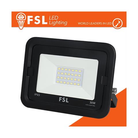 Proiettore Per Esterni Nero 30w - Ip65 115 6500k - Foto 1