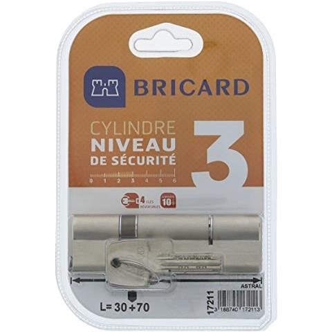 17211 cilindro Astral 2, 9 in Ottone Nichelato 10 pistoni, 2 voci 30 + 70, Protezioni Anti-foratura, E Il Grimaldelli. Scheda Personale - Foto 1