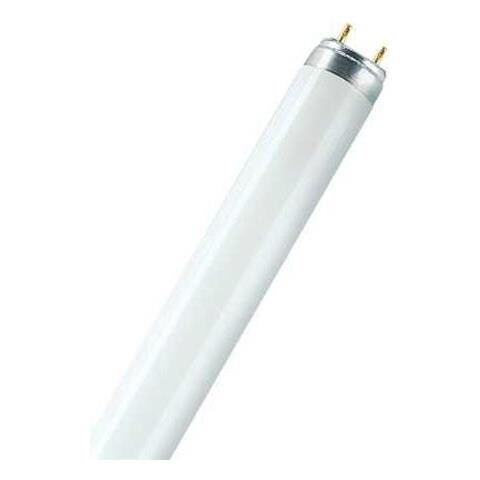 Tubo Fluorescente Lumilux T8 30w Cool White - Foto 2