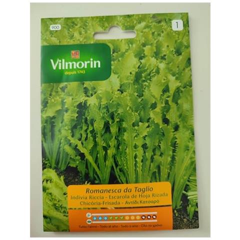 Indivia Riccia Romanesca Da Taglio-set Da 10 Bustine Da 8 Grammi Ciascuna - Foto 1