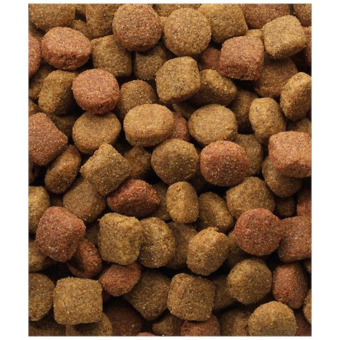 Duo Krok 20 kg Senior - Foto 3