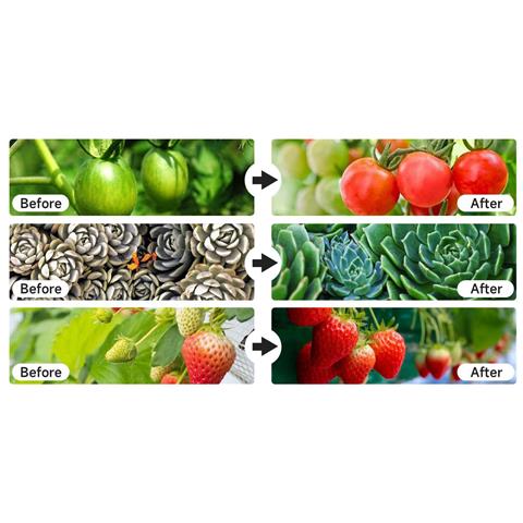 La Pianta Da Interno Cresce Leggera Con 4 Teste, Collo Di Cigno Flessibile. 10 Livelli, 3 Modalità - Foto 2